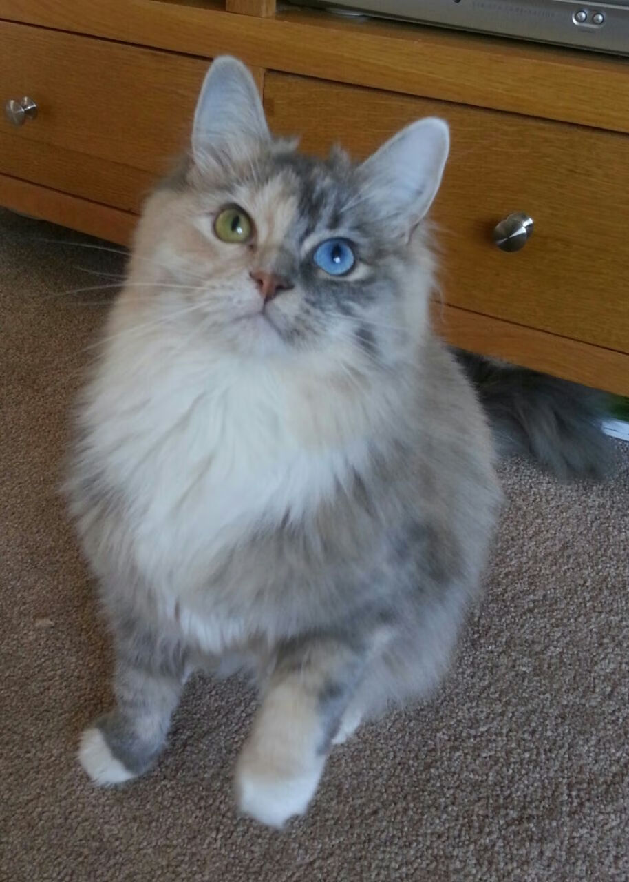 班凯罗之夜,新生代王者的季后赛宣言