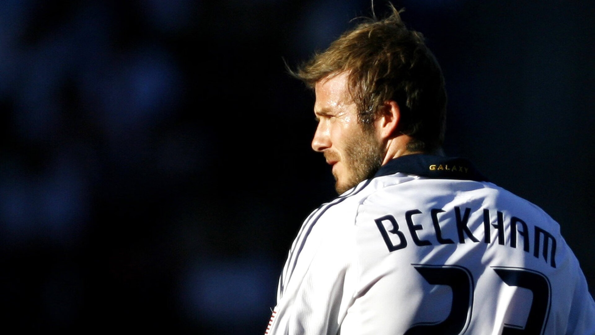 锡安法则，当绝对力量撕碎精密齿轮，辽宁的无解只是爵士眼中的一道算术题